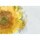 Mint by Michelle &quot;Sunflower&quot;