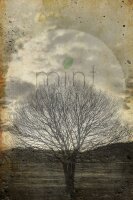 Mint by Michelle "Sepia Tree"