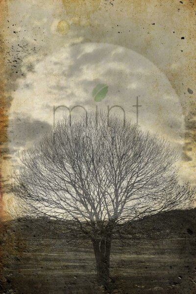 Mint by Michelle "Sepia Tree"  A3