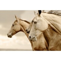 Mint by Michelle &quot;Reverse Sephia Horse&quot;
