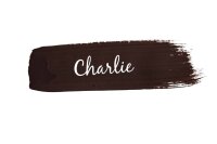 MANGO Paint "Charlie"