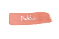 MANGO Paint "Dahlia"