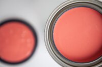 MANGO Paint "Dahlia"