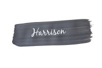 MANGO Paint "Harrison"