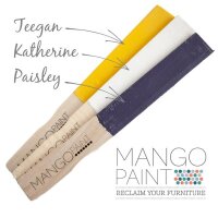 MANGO Paint "Paisley"