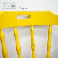 MANGO Paint "Teegan"