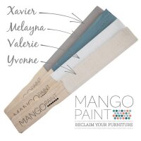 MANGO Paint "Xavier" 236ml