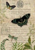Butterfly Botanical A4
