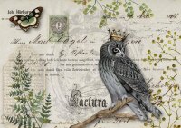Owl Botanicals A3