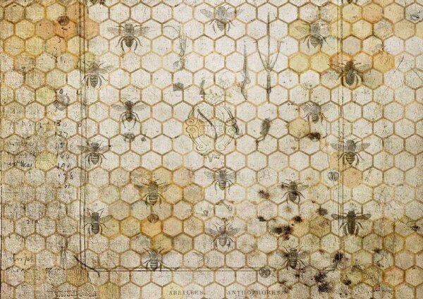 The Honeycomb A4