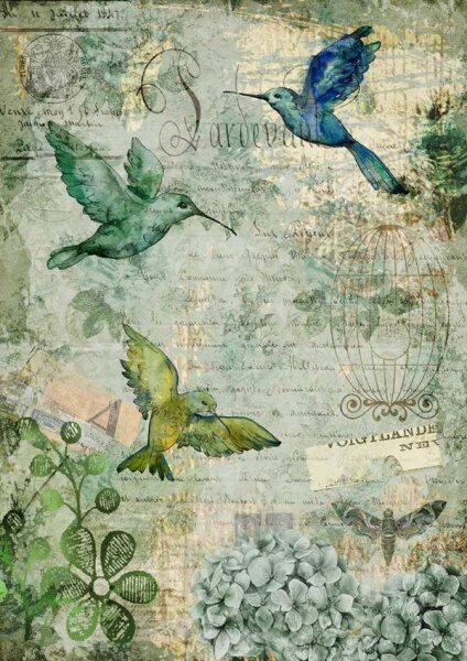 Afternoon Hummingbirds A3