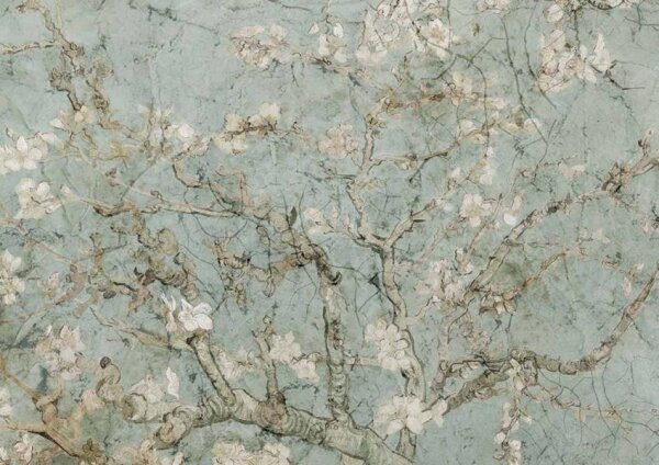 Almond Blossoms