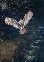 Karins Night Owl