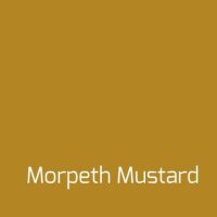 Versante Matt "Morpeth Mustard" 0,5 l