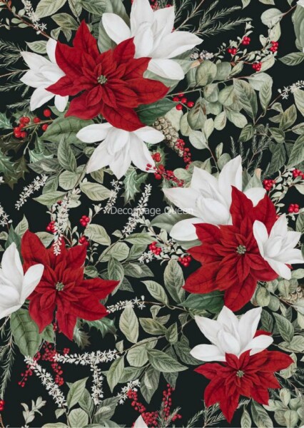 Forest Lore - Christmas FLoral Black