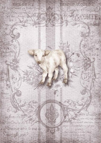 Spring Grain Sack Lamb A4
