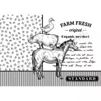 Magic Paint &quot;Country Farm Fresh Original&quot; 28x40cm