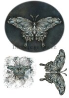 Dainty and the Queen Hand Drawn Butterfly A3