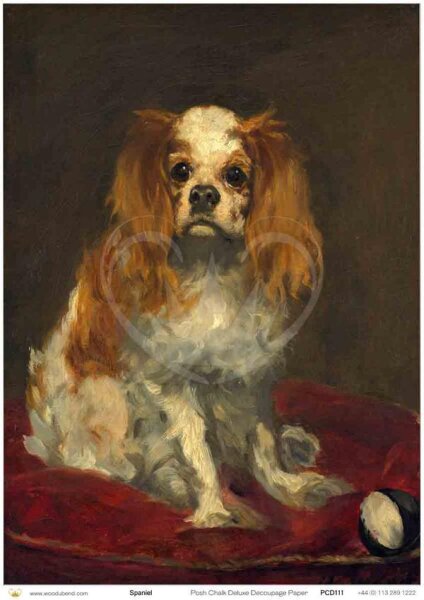 Posh Chalk Deluxe Decoupage "Spaniel" A3